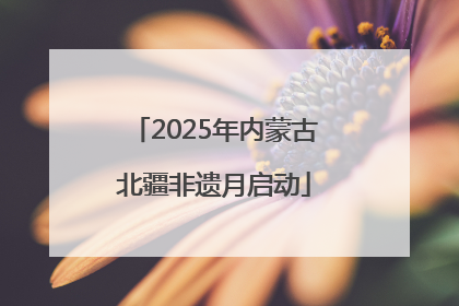 2025年内蒙古北疆非遗月启动