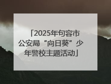 2025年句容市公安局“向日葵”少年警校主题活动
