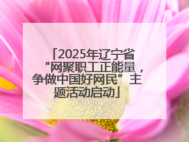 2025年辽宁省“网聚职工正能量，争做中国好网民”主题活动启动