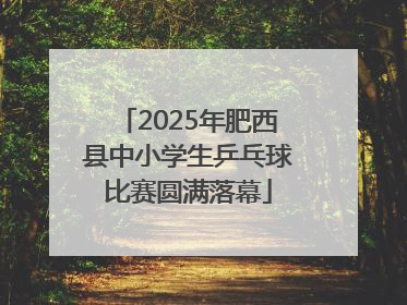 2025年肥西县中小学生乒乓球比赛圆满落幕