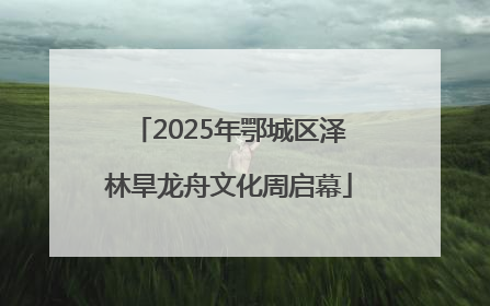2025年鄂城区泽林旱龙舟文化周启幕