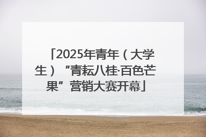 2025年青年（大学生）“青耘八桂·百色芒果”营销大赛开幕