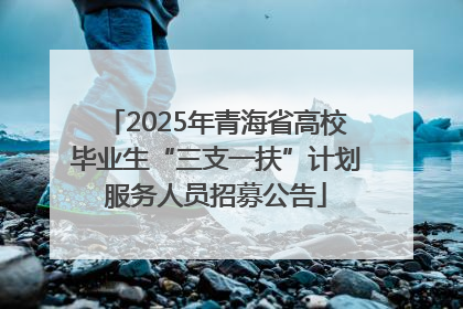 2025年青海省高校毕业生“三支一扶”计划服务人员招募公告