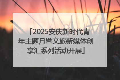 2025安庆新时代青年主题月暨文旅新媒体创享汇系列活动开展