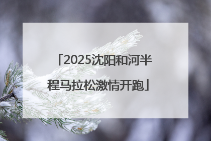 2025沈阳和河半程马拉松激情开跑