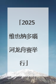 2025维也纳多瑙河龙舟赛举行