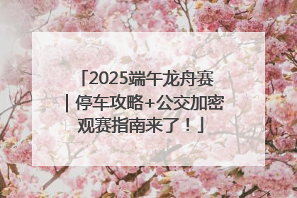 2025端午龙舟赛｜停车攻略+公交加密 观赛指南来了！