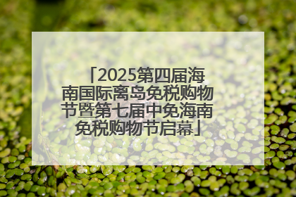 2025第四届海南国际离岛免税购物节暨第七届中免海南免税购物节启幕