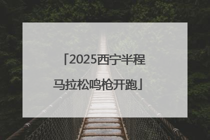 2025西宁半程马拉松鸣枪开跑