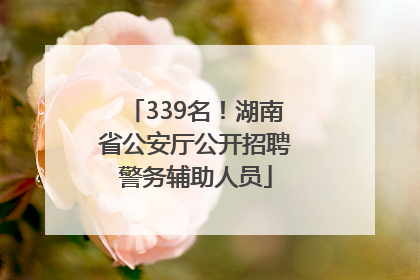 339名！湖南省公安厅公开招聘警务辅助人员