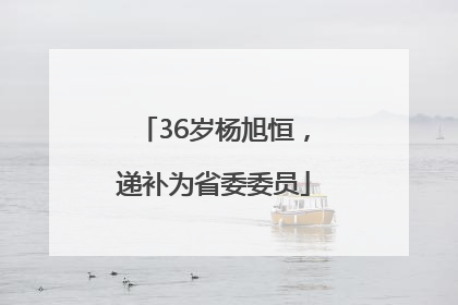 36岁杨旭恒，递补为省委委员