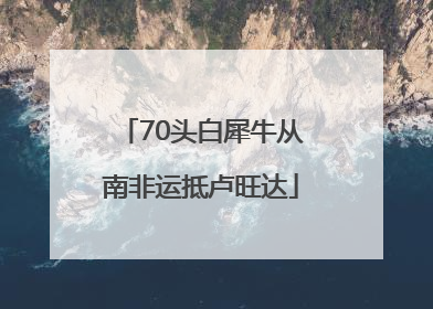 70头白犀牛从南非运抵卢旺达