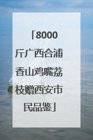 8000斤广西合浦香山鸡嘴荔枝赠西安市民品鉴