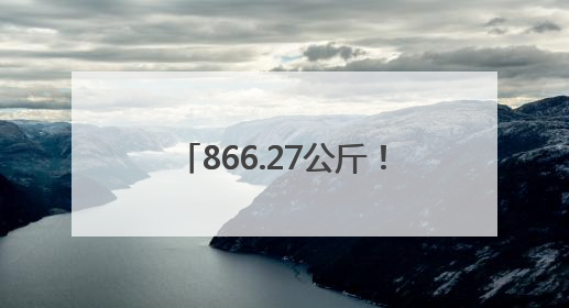 866.27公斤！河北小麦亩产创新高