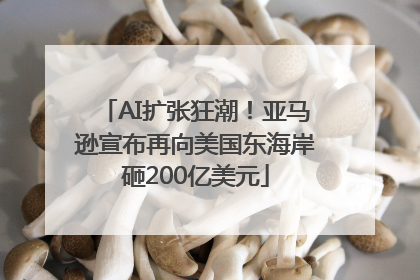 AI扩张狂潮！亚马逊宣布再向美国东海岸砸200亿美元