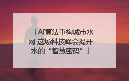 AI算法重构城市水网 这场科技峰会揭开水的“智慧密码”