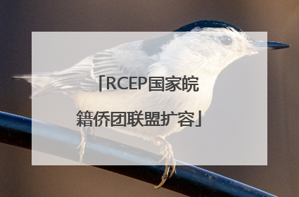 RCEP国家皖籍侨团联盟扩容