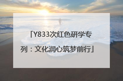 Y833次红色研学专列：文化润心筑梦前行